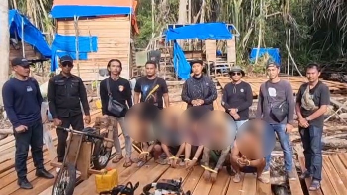 Polres Pelalawan membongkar praktik illegal logging dan mengamankan 6 pelaku.
