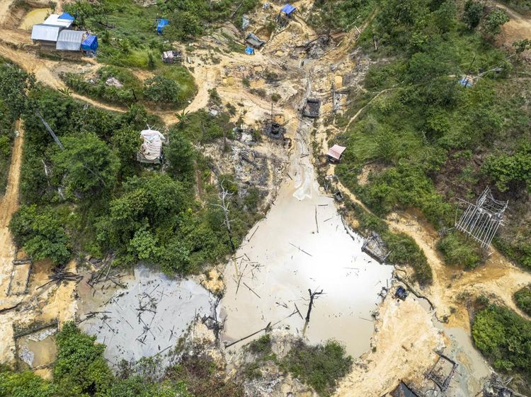 Ratusan Sumur Minyak Ilegal Kepung Hutan Harapan, Ekosistem Terancam