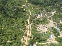 Video: BRIN Kaji Alih Fungsi Hutan Jadi Kelapa Sawit di Sumatera