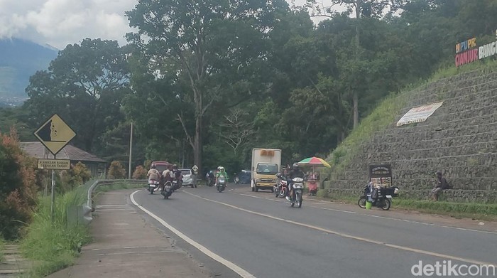 Starling berjualan di zona merah gempa di Cianjur.