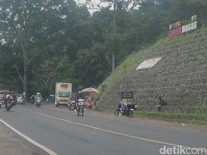 Starling Nekat Jualan di Zona Merah Gempa-Longsor Cianjur