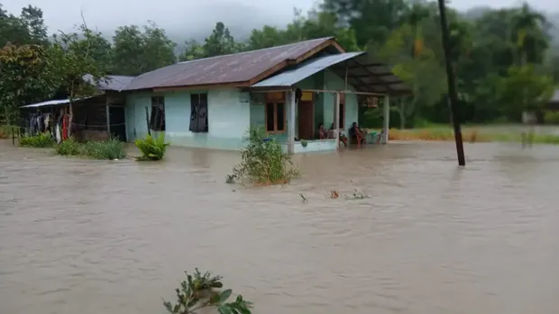 Banjir yang merendam pemukiman warga di Kabupaten Tapanuli Utara, Sumatra Utara, Selasa (25/11). (Dok. BPBD Kabupaten Tapanuli Utara)