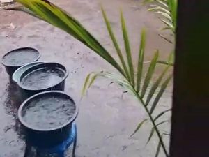 PDAM Tuding Krisis Air di Gili Meno Akibat Provokasi Penutupan PT TCN