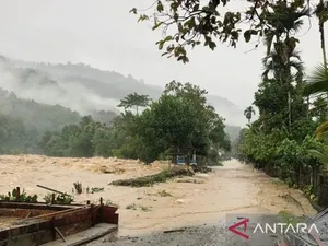 BNPB Kerahkan Alat Berat Buka Akses Sumut-Aceh yang Terputus Imbas Banjir