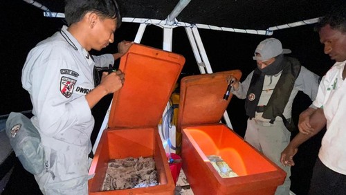 Bakamla Kupang mengamankan Kapal MKN Tiga Putra beserta 20 kg teripang yang diduga ditangkap secara ilegal di perairan Australia. (Istimewa)