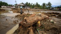 Aliran air dari perbukitan membawa lumpur dan material kayu yang kemudian menutup badan jalan. ANTARA FOTO/Ampelsa  