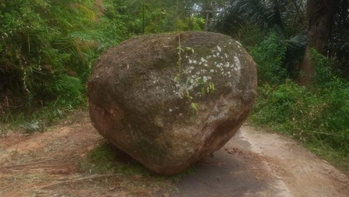 Baru besar terguling di tengah jalan Golowelu-Desa Lewur,  Kecamatan Kuwus, Manggarai Barat, NTT, Jumat (28/11/2025).