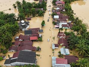 Manfaat Pohon Cegah Banjir dan Tanah Longsor Menurut Ilmiah