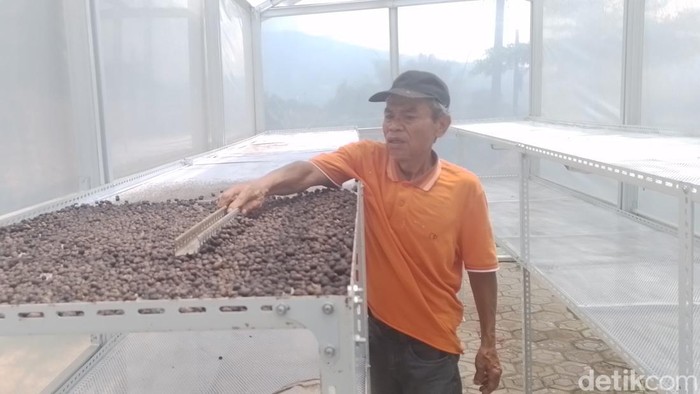 Green House Tenaga Surya Bantu Petani Kopi Sumedang
