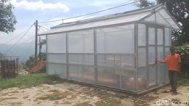 Green House Tenaga Surya Bantu Petani Kopi Sumedang