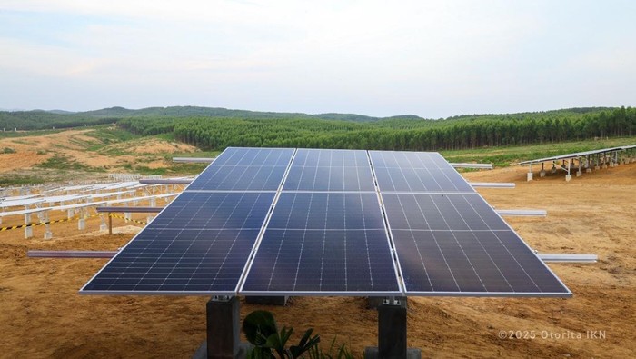 IKN–NSSE Teken Kerja Sama Bangun PLTS 50 MW, Nilai Investasi Capai Rp 900 M