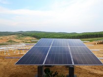 Jadi Tulang Punggung Listrik Hijau di IKN, Kebun Matahari 50 MW Siap Dibangun