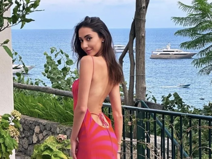 Kasus hukum Michelle Ritter dengan Eric Schmidt mantan CEO Google