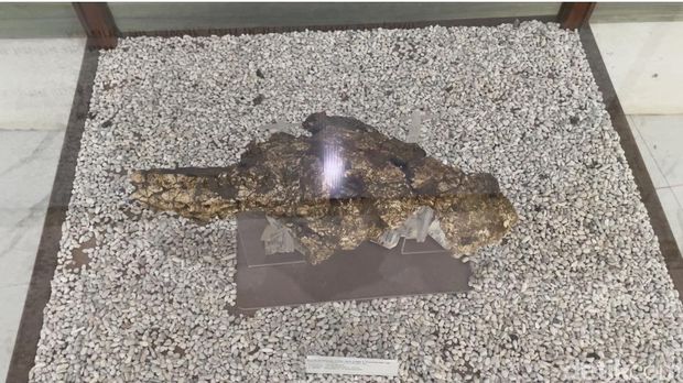 Koleksi fosil purba di Museum Patiayam Kudus, Jumat (28/11/2025),
