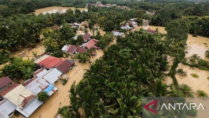 Kondisi banjir di Desa Pasi Leuhan, Kecamatan Johan Pahlawan, Meulaboh, Kabupaten Aceh Barat. Hingga Jumat (28/11/2025) sebanyak 3.866 jiwa atau 2.652 kepala keluarga (KK) tersebar di delapan kecamatan di kabupaten setempat terdampak banjir dengan ketinggian air berkisar antara 1 meter hingga 1,5 meter. (ANTARA/Dok. BPBD Aceh Barat)
