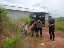 Siswi SD di Palembang Dicabuli OTK Saat Sedang Main Petak Umpet