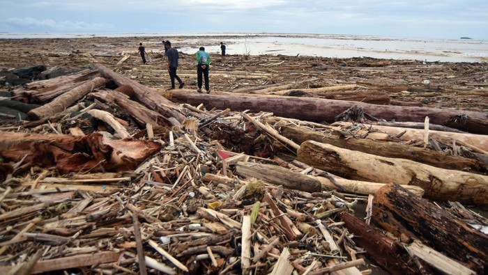 Sejumlah warga berjalan di antara potongan kayu gelondongan yang bertumpuk di pantai Air Tawar, Padang, Sumatera Barat, Jumat (28/11/2025). Sampah kayu gelondongan itu menumpuk di sepanjang pantai Padang pasca banjir bandang beberapa hari terakhir. ANTARA FOTO/Iggoy el Fitra/YU