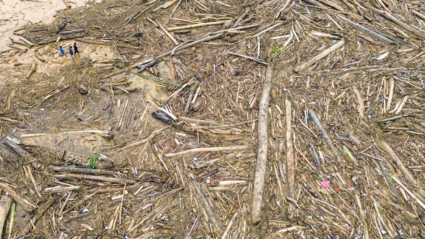 Sejumlah warga berjalan di antara potongan kayu gelondongan yang bertumpuk di pantai Air Tawar, Padang, Sumatera Barat, Jumat (28/11/2025). Sampah kayu gelondongan itu menumpuk di sepanjang pantai Padang pasca banjir bandang beberapa hari terakhir.  ANTARA FOTO/Iggoy el Fitra/YU