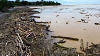 Warga berjalan di antara potongan kayu gelondongan yang menumpuk di Pantai Air Tawar, Padang, Jumat (28/11/2025). Material kayu itu terbawa arus banjir bandang dan kini memenuhi garis pantai. Foto: ANTARA FOTO/Iggoy el Fitra