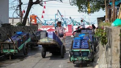 Pedagang Air Jeriken Jadi Andalan Warga Muara Angke di Tengah Krisis Air Bersih