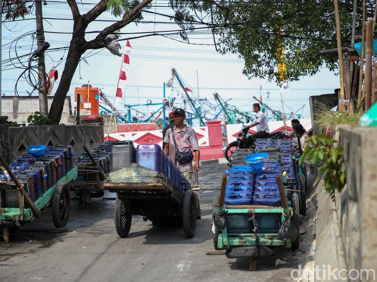 Pedagang Air Jeriken Jadi Andalan Warga Muara Angke di Tengah Krisis Air Bersih