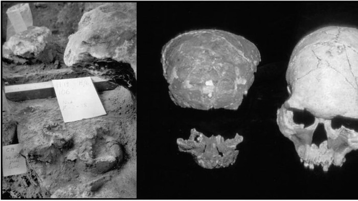Penemuan tengkorak di Niah Cave yang diyakini berasal dari puluhan ribu tahun lalu.