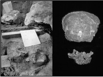 Jejak Peradaban Kuno di Borneo, dari Zaman Pleistosen hingga Kerajaan