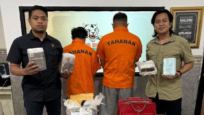 Polda Banten mengungkap kasus peredaran gelap narkoba golongan I jenis ganja dengan total barang bukti sekitar 3 kilogram. (dok. Polda Banten)