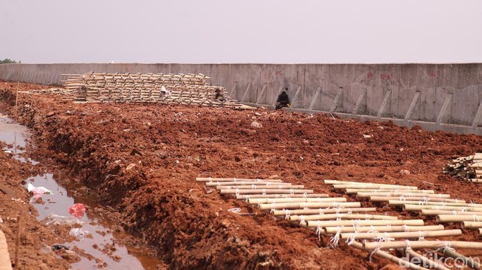 Sejumlah pekerja terlihat membangun taman di kawasan tanggul Pelabuhan Muara Baru pada Jumat (28/11/2025).