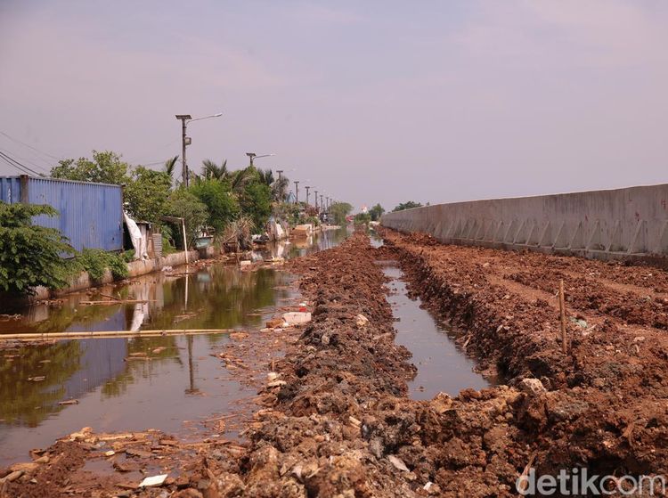 Ruang Hijau Baru Mulai Dibangun di Muara Baru