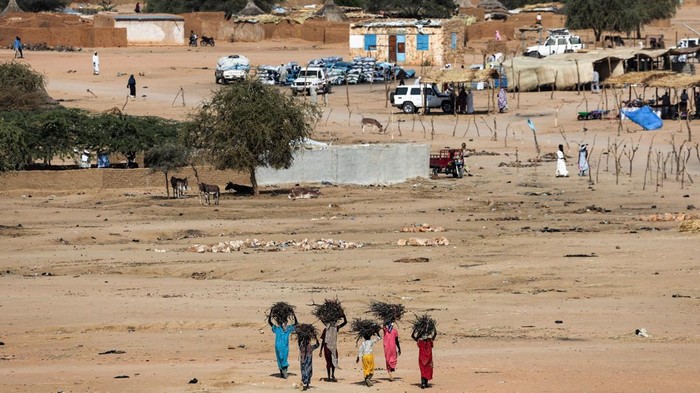 Sudanese refugee children from Darfur play and jump from a tree at the Iridimi refugee camp, northwest of the town of Iriba, in Wadi Fira province, eastern Chad, November 27, 2025. REUTERS/Amr Abdallah Dalsh     TPX IMAGES OF THE DAY