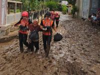Buaya yang Muncul di Persawahan Bantargebang Diduga Peliharaan Warga
