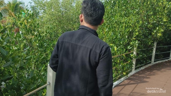 Wisata Alam Ketapang Mauk, Sang Penjaga Ekosistem Bakau