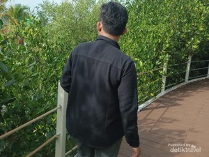 Wisata Alam Ketapang Mauk, Sang Penjaga Ekosistem Bakau