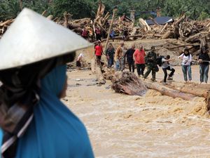 Perusahaan yang Merusak Hutan Batang Toru Didesak untuk Diungkap ke Publik