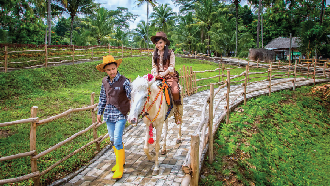 Bakal Ada Wisata Peternakan di BSD City, Dairyland Dibuka Akhir 2028