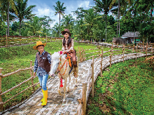 Bakal Ada Wisata Peternakan di BSD City, Dairyland Dibuka Akhir 2028