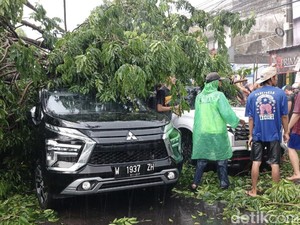 Hujan Angin di Sidoarjo, Pohon Besar Tumbang Timpa 3 Mobil