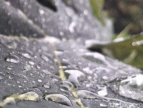 Prakiraan Cuaca Jateng Hari Ini: Banjarnegar-Salatiga Hujan Lebat