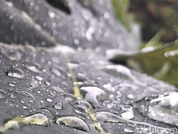 Canggih! Teknologi Baru Bisa Ubah Hujan Jadi Sumber Listrik