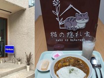 Hangout Seru! 5 Kafe Baru di Jakarta dengan Suasana Cozy dan Menu Enak