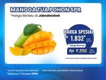 Mangga Diobral di Transmart Full Day Sale