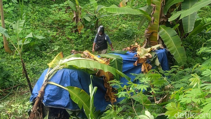 Minibus Terjun ke Jurang di Jalur Bromo
