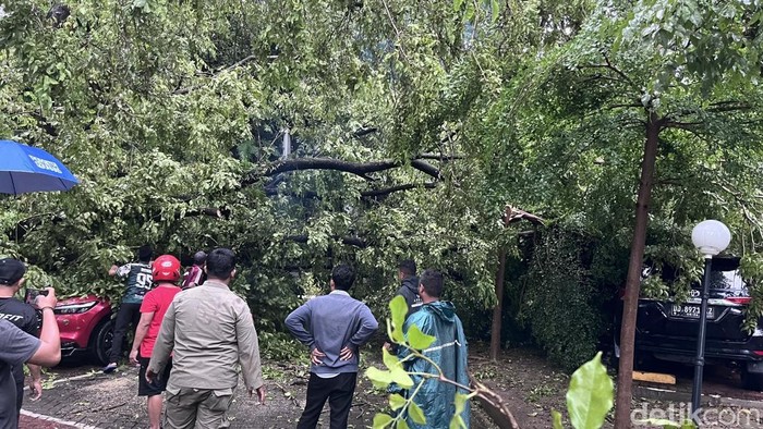 Pohon tumbang di parkiran Kantor Gubernur Sulsel.