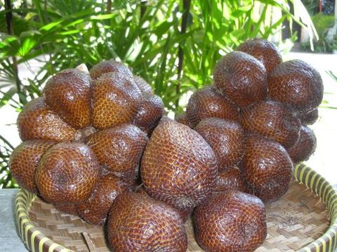 6 Oleh-oleh Khas Sleman yang Wajib Dicoba, Ada Buah-Hidangan Lezat