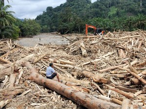Asal Gelondongan Kayu Usai Banjir di Sumut Kini Diusut