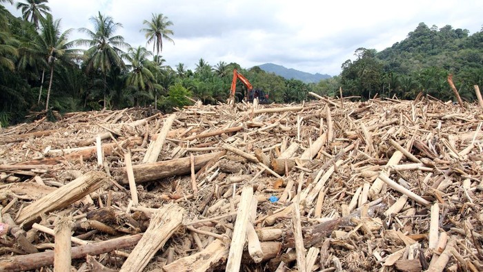 Petugas menggunakan alat berat membersihkan sampah kayu gelondongan pasca banjir bandang di Desa Aek Garoga, Kecamatan Batang Toru, Kabupaten Tapanuli Selatan, Sumatera Utara, Sabtu (29/11/2025). Sampah kayu gelondongan tersebut menumpuk di pemukiman warga dan sungai pasca banjir bandang pada Selasa (25/11). ANTARA FOTO/Yudi Manar