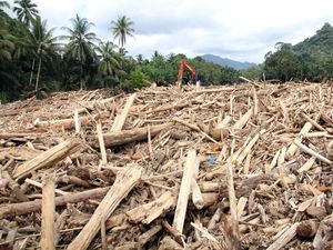 Mendagri Nilai Perlu Investigasi soal Kayu Gelondongan di Bencana Sumatera