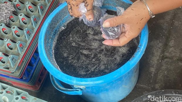 Telur asin bakar yang diproduksi pakai bonggol jagung di Surabaya Telur asin bakar yang diproduksi pakai bonggol jagung di Surabaya