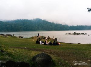 Terpikat Ketenangan Situ Patenggang & Hamparan Kebun Teh Ciwidey